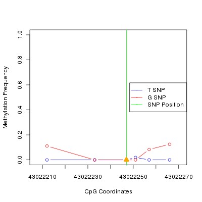 Allele Specific Methylation Frequency Diagram for chr20 43022247 SNP.