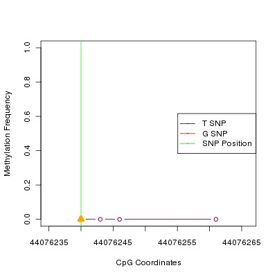 Allele Specific Methylation Frequency Diagram for chr20 44076240 SNP.
