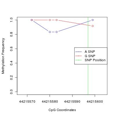 Allele Specific Methylation Frequency Diagram for chr20 44215597 SNP.