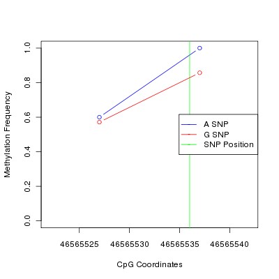 Allele Specific Methylation Frequency Diagram for chr20 46565536 SNP.