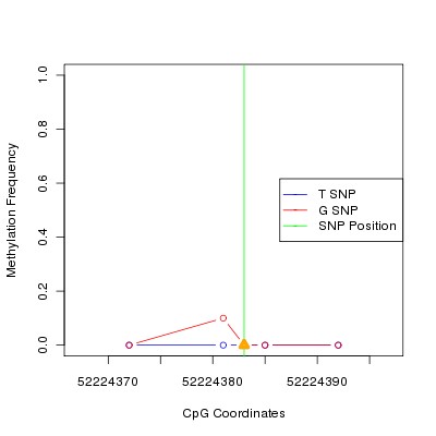 Allele Specific Methylation Frequency Diagram for chr20 52224383 SNP.