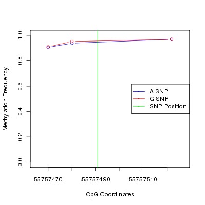 Allele Specific Methylation Frequency Diagram for chr20 55757491 SNP.