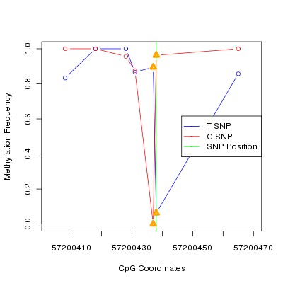 Allele Specific Methylation Frequency Diagram for chr20 57200438 SNP.