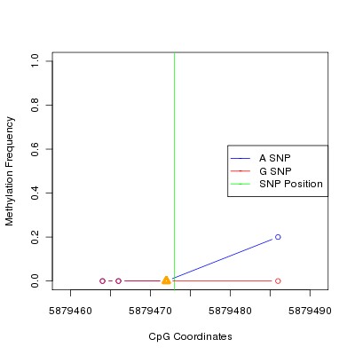 Allele Specific Methylation Frequency Diagram for chr20 5879473 SNP.