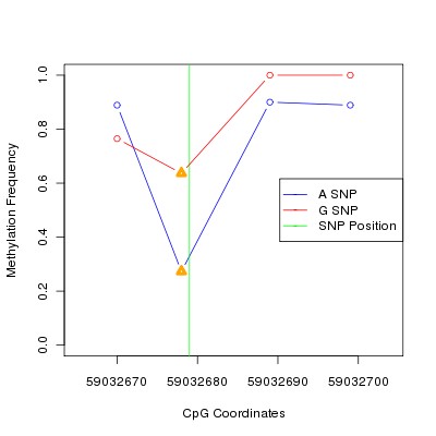 Allele Specific Methylation Frequency Diagram for chr20 59032679 SNP.