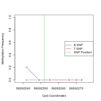 Allele Specific Methylation Frequency Diagram for chr20 59262252 SNP.