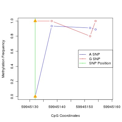 Allele Specific Methylation Frequency Diagram for chr20 59945132 SNP.