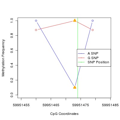 Allele Specific Methylation Frequency Diagram for chr20 59951474 SNP.
