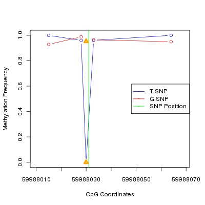 Allele Specific Methylation Frequency Diagram for chr20 59988031 SNP.