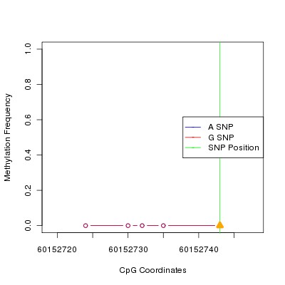 Allele Specific Methylation Frequency Diagram for chr20 60152743 SNP.