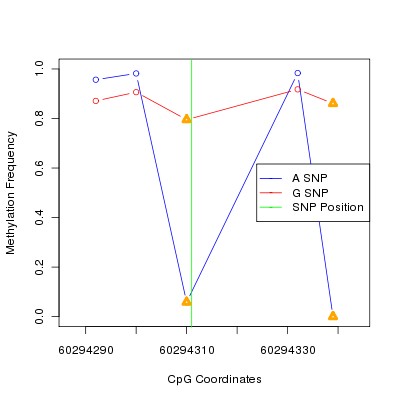 Allele Specific Methylation Frequency Diagram for chr20 60294311 SNP.