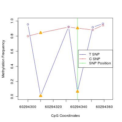 Allele Specific Methylation Frequency Diagram for chr20 60294339 SNP.