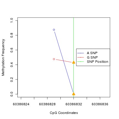 Allele Specific Methylation Frequency Diagram for chr20 60386832 SNP.