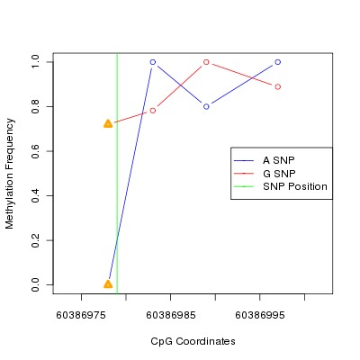 Allele Specific Methylation Frequency Diagram for chr20 60386979 SNP.