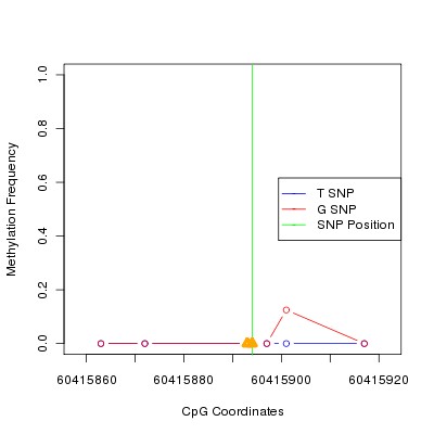 Allele Specific Methylation Frequency Diagram for chr20 60415894 SNP.