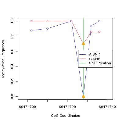 Allele Specific Methylation Frequency Diagram for chr20 60474728 SNP.