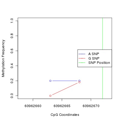 Allele Specific Methylation Frequency Diagram for chr20 60962672 SNP.