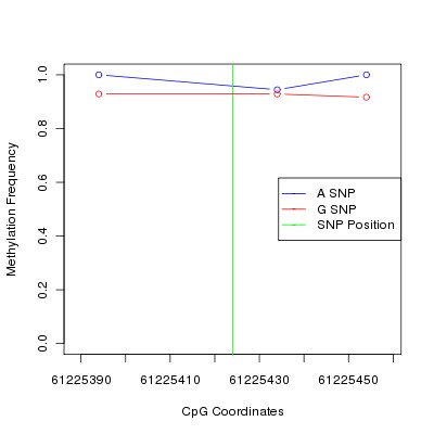 Allele Specific Methylation Frequency Diagram for chr20 61225424 SNP.