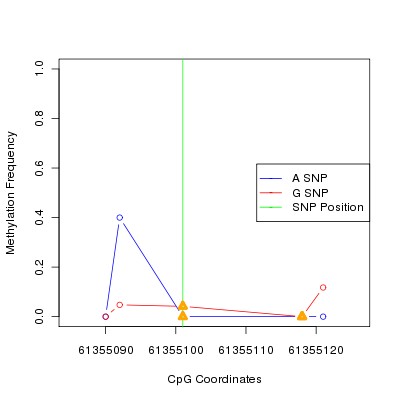 Allele Specific Methylation Frequency Diagram for chr20 61355101 SNP.