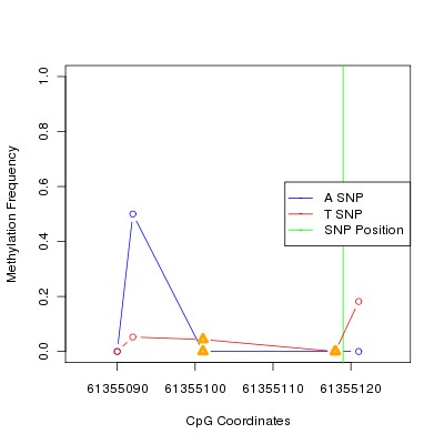 Allele Specific Methylation Frequency Diagram for chr20 61355119 SNP.