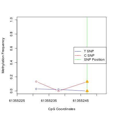 Allele Specific Methylation Frequency Diagram for chr20 61355247 SNP.