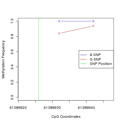 Allele Specific Methylation Frequency Diagram for chr20 61389926 SNP.