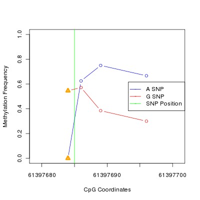 Allele Specific Methylation Frequency Diagram for chr20 61397685 SNP.