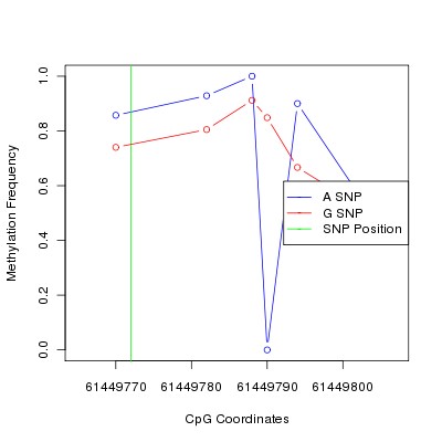 Allele Specific Methylation Frequency Diagram for chr20 61449772 SNP.