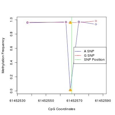 Allele Specific Methylation Frequency Diagram for chr20 61452568 SNP.