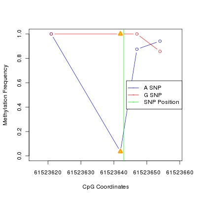 Allele Specific Methylation Frequency Diagram for chr20 61523643 SNP.