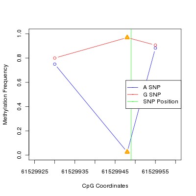Allele Specific Methylation Frequency Diagram for chr20 61529949 SNP.