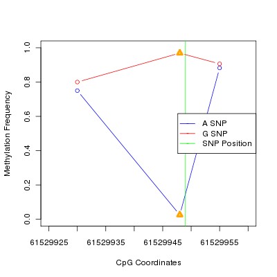 Allele Specific Methylation Frequency Diagram for chr20 61529949 SNP.