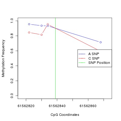 Allele Specific Methylation Frequency Diagram for chr20 61562839 SNP.