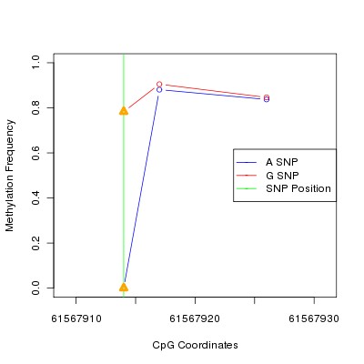 Allele Specific Methylation Frequency Diagram for chr20 61567914 SNP.