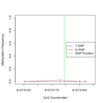 Allele Specific Methylation Frequency Diagram for chr20 61573179 SNP.