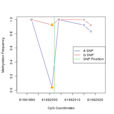 Allele Specific Methylation Frequency Diagram for chr20 61662002 SNP.