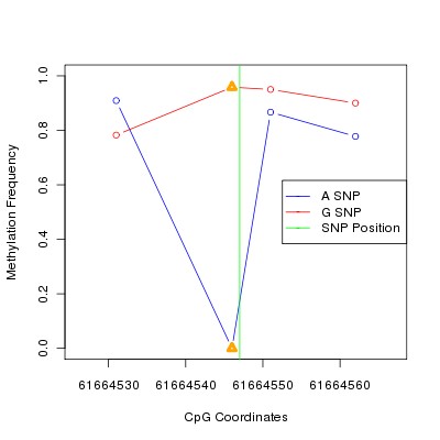 Allele Specific Methylation Frequency Diagram for chr20 61664547 SNP.