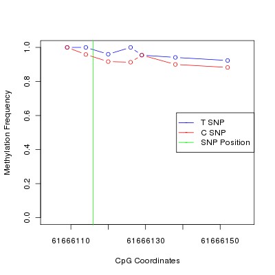 Allele Specific Methylation Frequency Diagram for chr20 61666116 SNP.