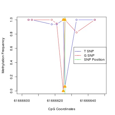 Allele Specific Methylation Frequency Diagram for chr20 61666626 SNP.