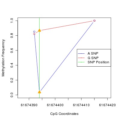 Allele Specific Methylation Frequency Diagram for chr20 61674394 SNP.