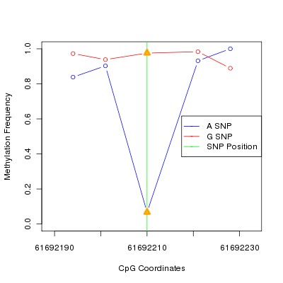 Allele Specific Methylation Frequency Diagram for chr20 61692210 SNP.