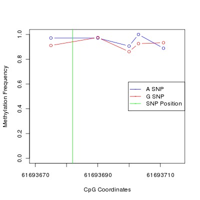 Allele Specific Methylation Frequency Diagram for chr20 61693682 SNP.