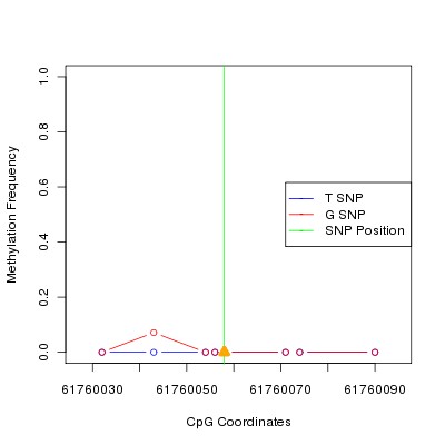 Allele Specific Methylation Frequency Diagram for chr20 61760058 SNP.