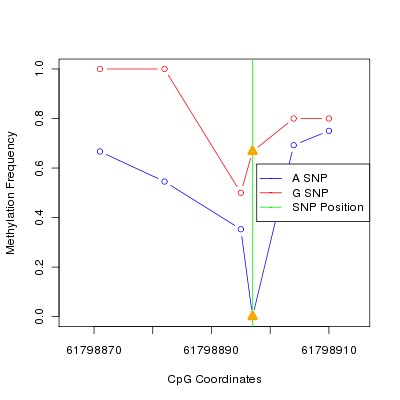 Allele Specific Methylation Frequency Diagram for chr20 61798897 SNP.