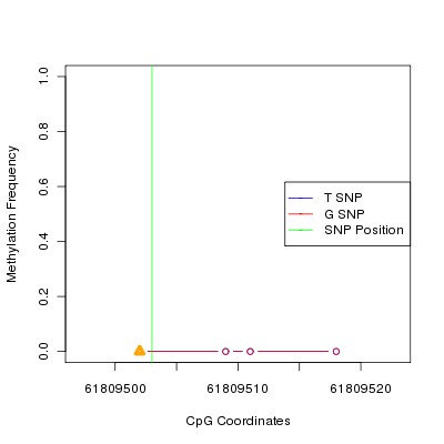 Allele Specific Methylation Frequency Diagram for chr20 61809503 SNP.