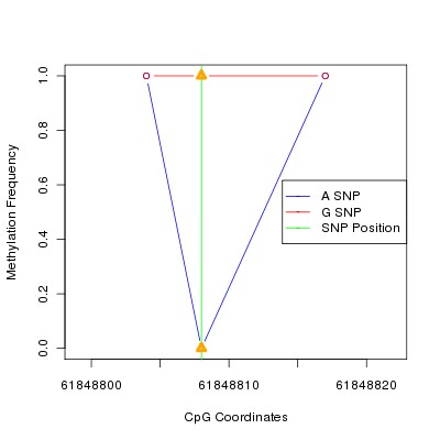 Allele Specific Methylation Frequency Diagram for chr20 61848808 SNP.