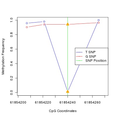 Allele Specific Methylation Frequency Diagram for chr20 61854240 SNP.