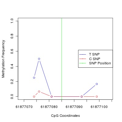 Allele Specific Methylation Frequency Diagram for chr20 61877085 SNP.