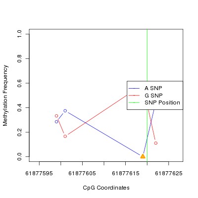 Allele Specific Methylation Frequency Diagram for chr20 61877620 SNP.