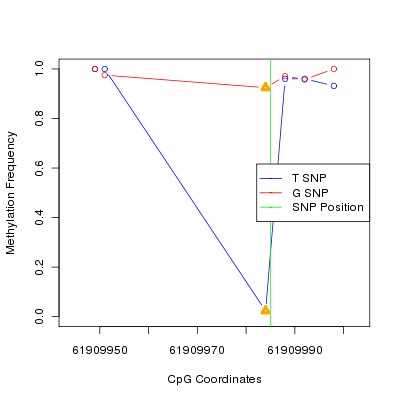 Allele Specific Methylation Frequency Diagram for chr20 61909985 SNP.